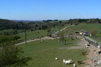 Naturwildpark Freisen